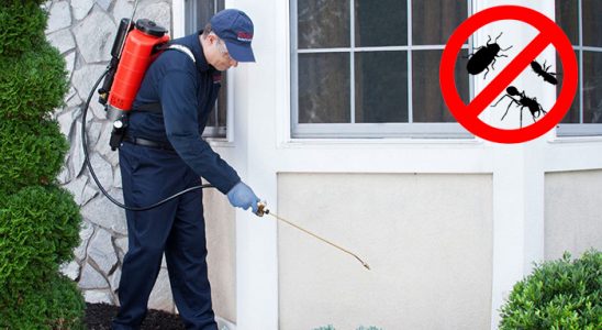 Havza Karınca İlaçlama böcek ilaçlama ve haşere kontrolü — ilaclama-tr.com